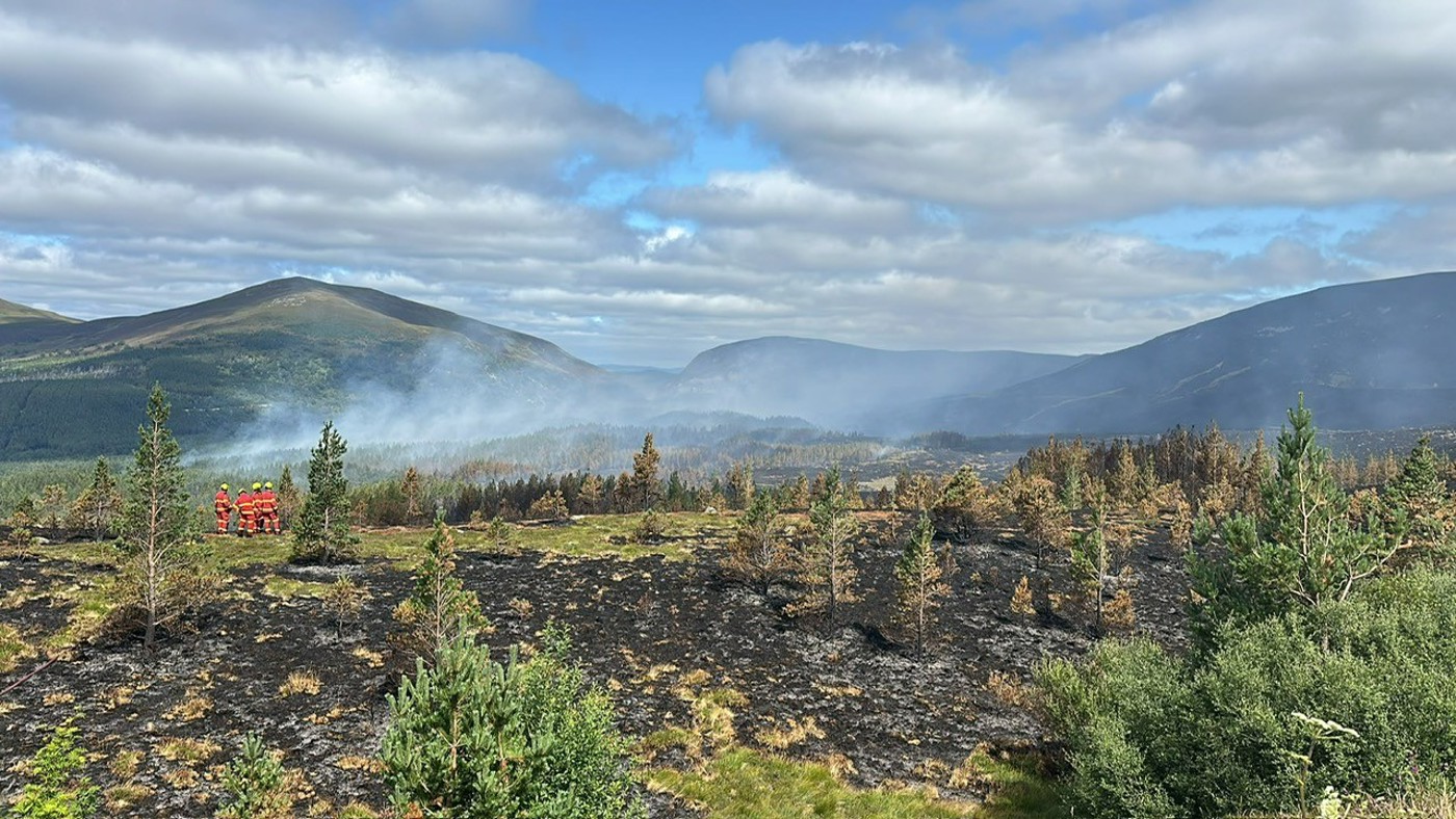 Area of ground which has been burned